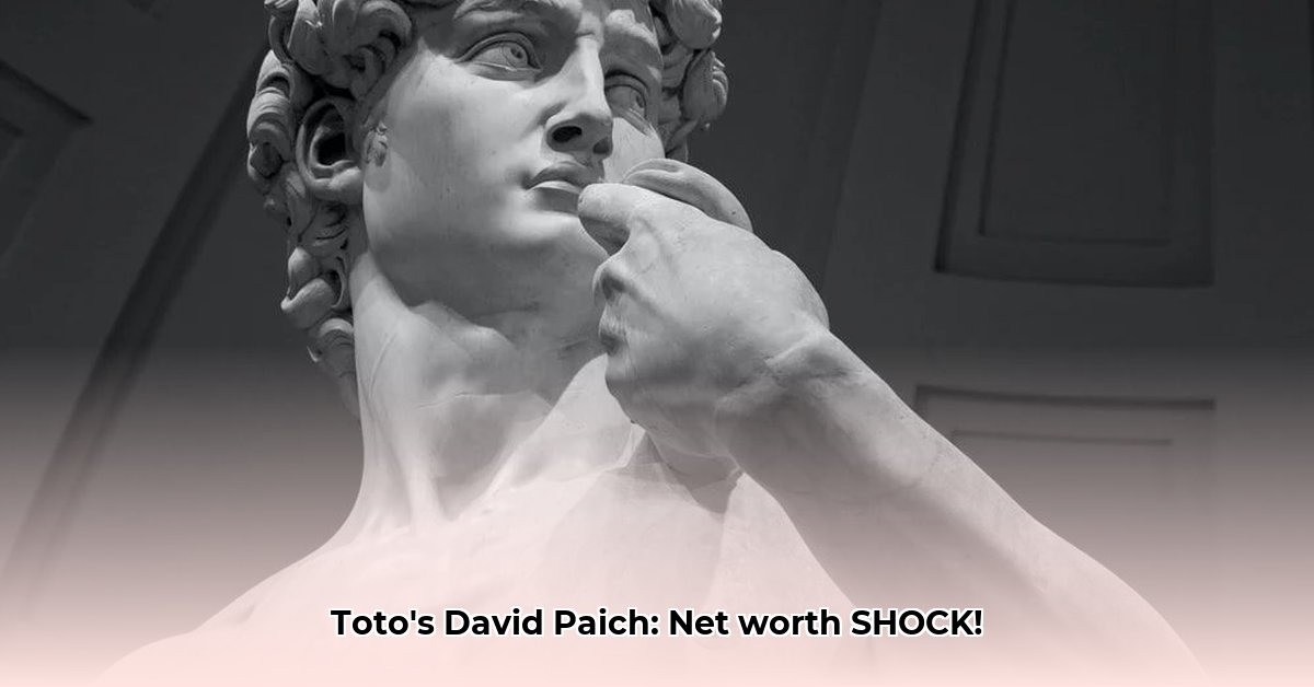 david-paich-net-worth